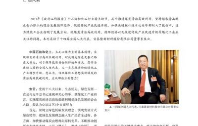 打破传统走绿色转型之路——访十四届全国人大代表、yw永旺快投网新材料股份有限公司董事长焦云