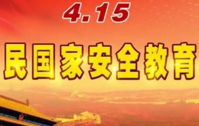 贯彻总体国家安全观 把平安中国建设推向更高水平